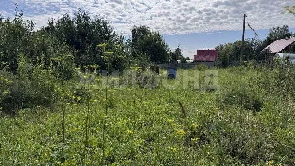 Дача, 30 м - Фото 1