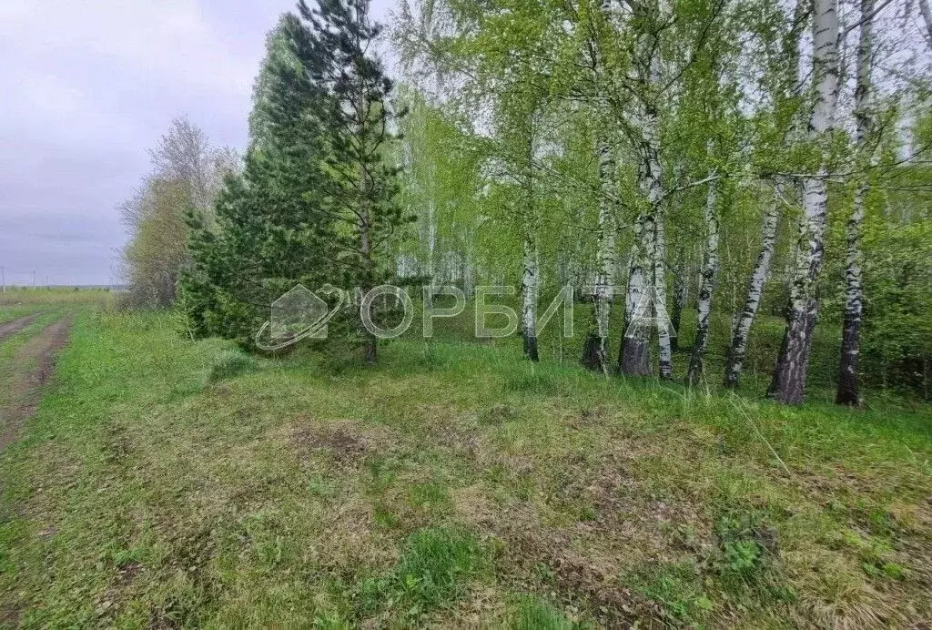 Участок в Тюменская область, Тюменский район, с. Перевалово ул. 8 ... - Фото 1
