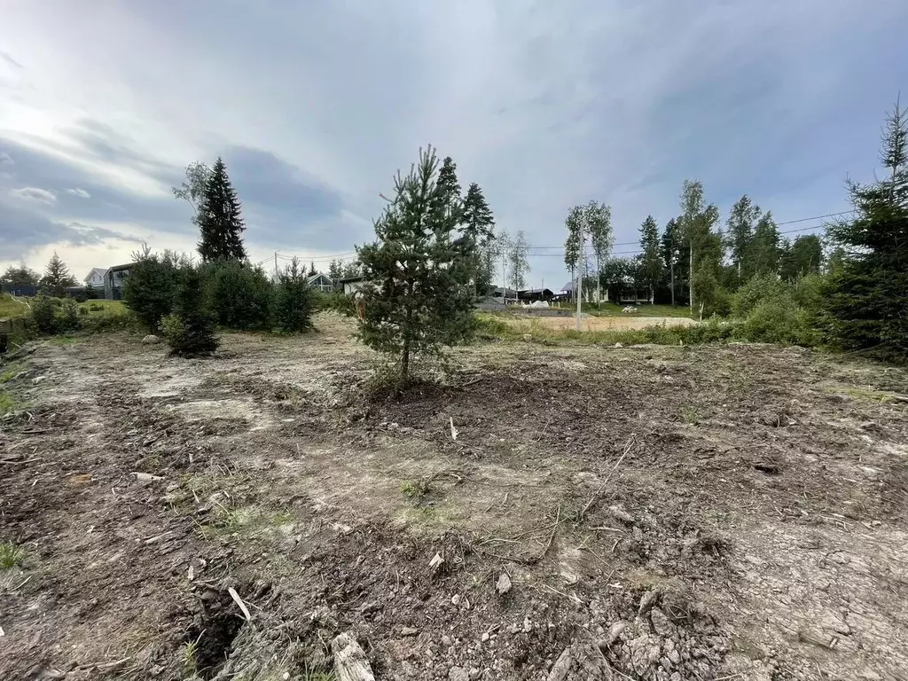 Участок в Ленинградская область, Приозерский район, Сосновское с/пос, ... - Фото 0