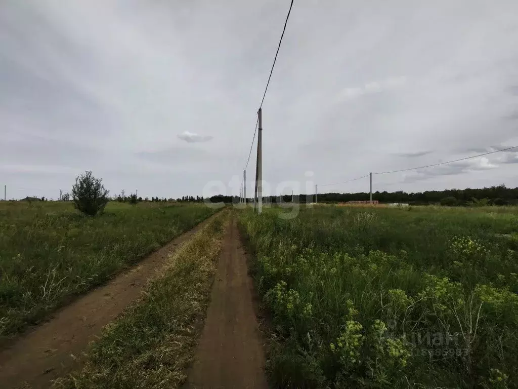 Участок в Белгородская область, Белгородский район, Дубовское с/пос, ... - Фото 1