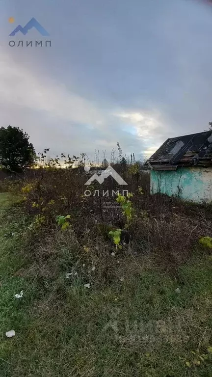 Участок в Вологодская область, Вологда Энергетик садоводческое ... - Фото 1