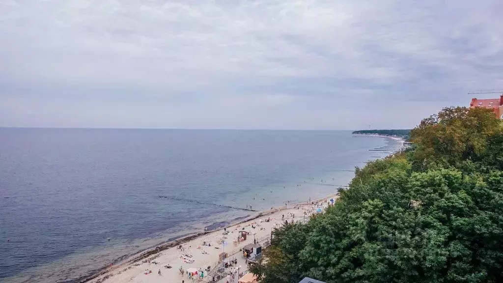 Студия Калининградская область, Пионерский Портовая ул., 5к2 (45.0 м) - Фото 0