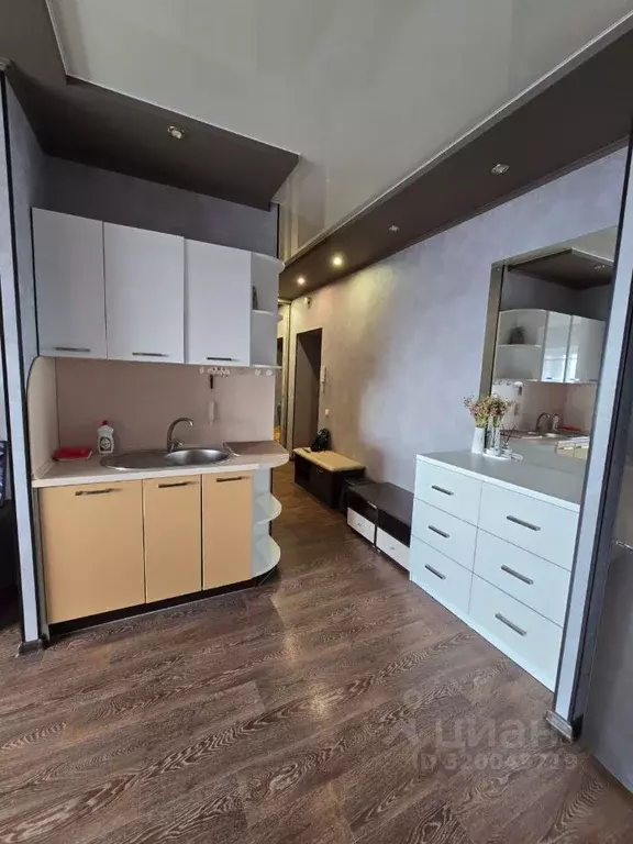 2-к кв. Амурская область, Благовещенск Красноармейская ул., 82 (50.0 ... - Фото 2