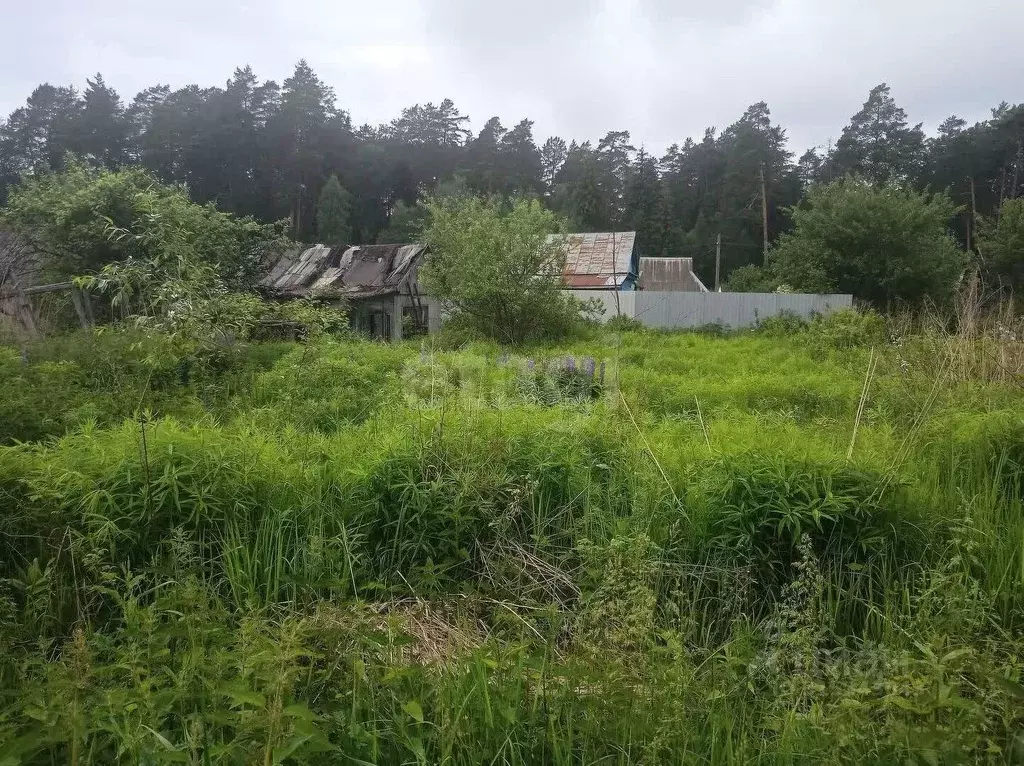 Участок в Брянская область, Сельцо  (5.0 сот.) - Фото 1