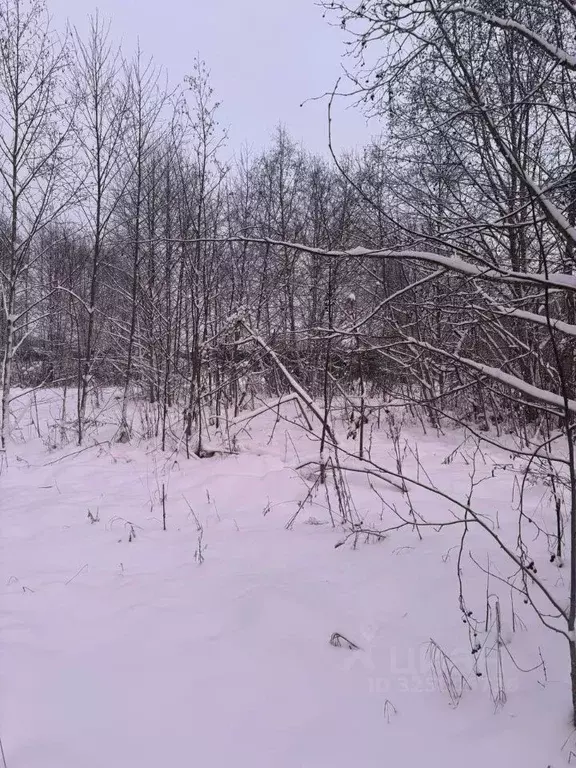 Участок в Московская область, Можайский муниципальный округ, д. ... - Фото 1