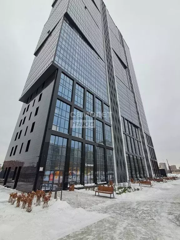 Студия Новосибирская область, Новосибирск ул. Фрунзе, 220 (28.9 м) - Фото 1