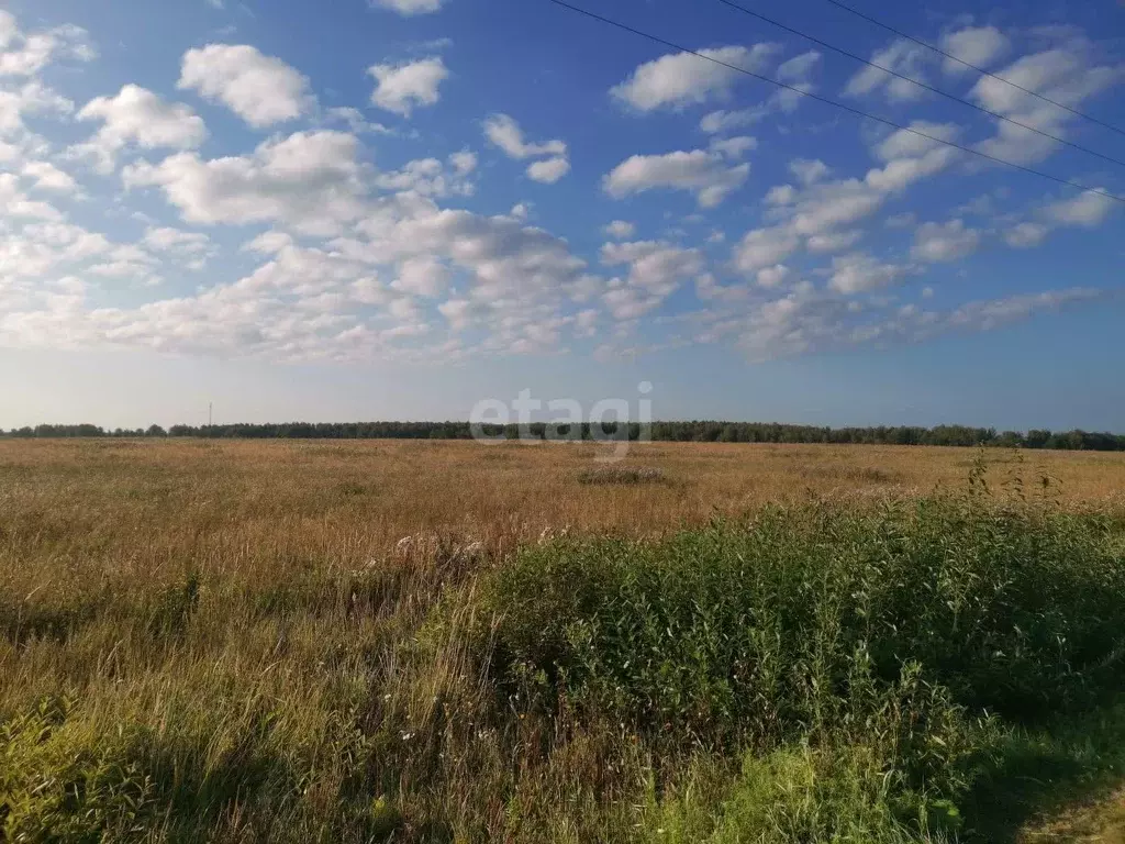 Участок, 22195.3 сот., сельхоз (снт или днп) - Фото 0