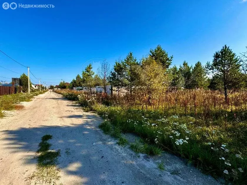 Участок в Тюменский район, деревня Елань (15 м) - Фото 0