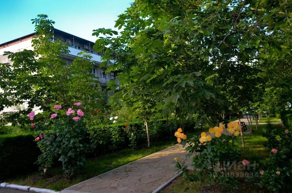 Комната Краснодарский край, Ейск Пионерская ул., 2 (10.0 м) - Фото 2