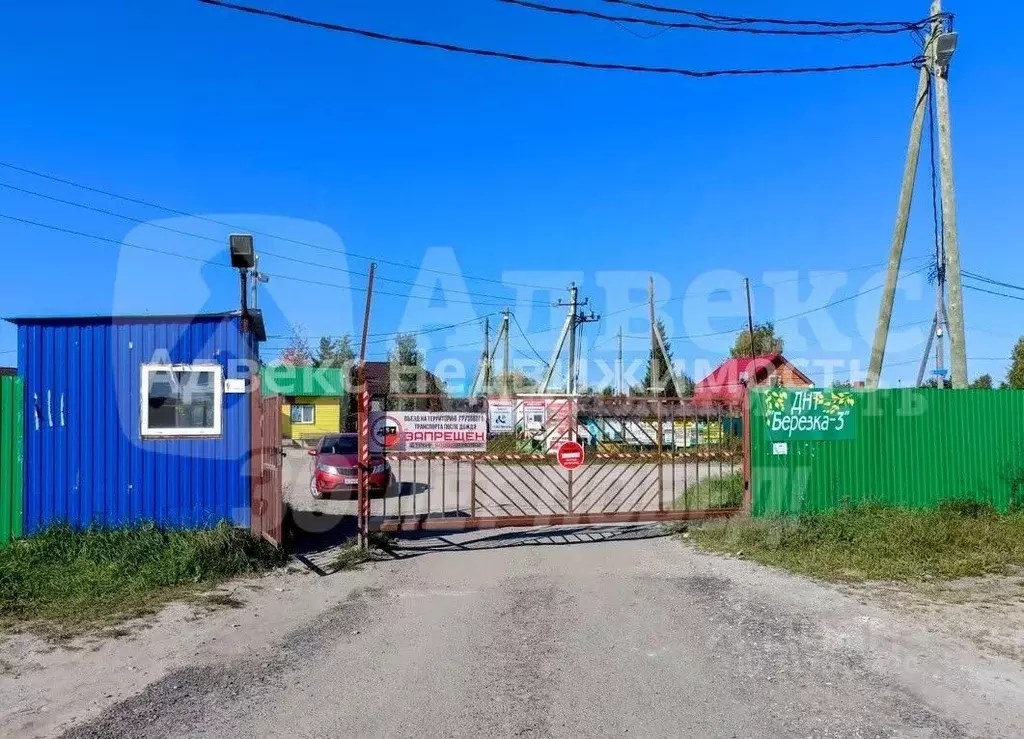 Участок в Тюменская область, Тюмень Березка СНТ, ул. 2-я Садовая (5.0 ... - Фото 2