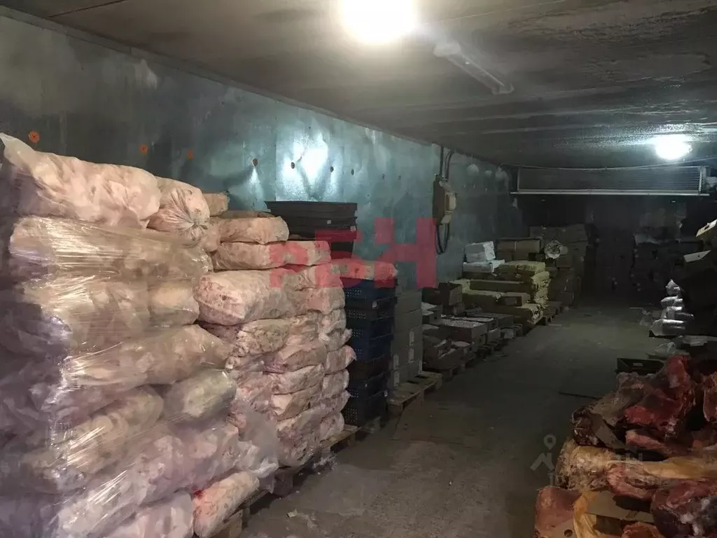 Склад в Пензенская область, Пенза ул. Баумана (26 м) - Фото 1