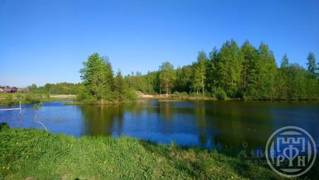 Участок в Ленинградская область, Волосовский район, Клопицкое с/пос, ... - Фото 1