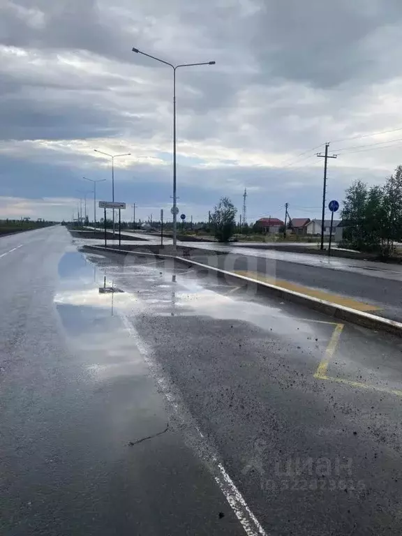 Участок в Ямало-Ненецкий АО, Новый Уренгой Фемида СНТ, ул. 1-я ... - Фото 1