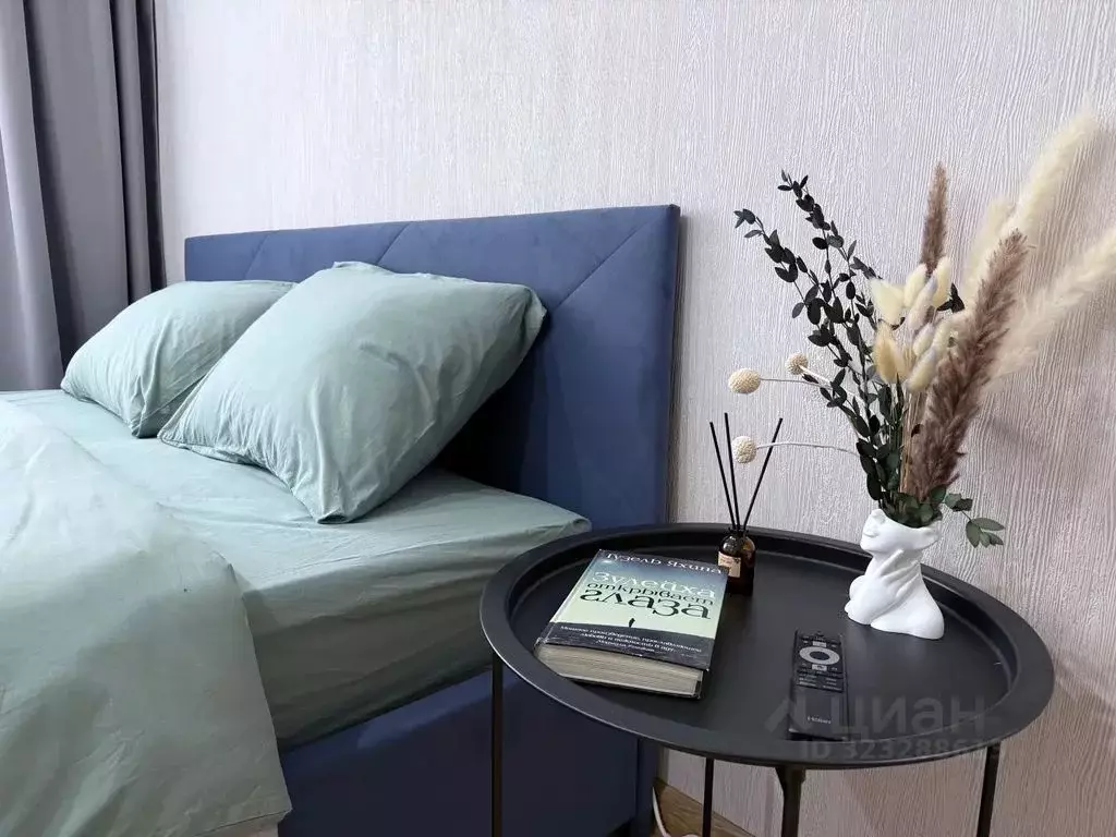 1-к кв. Татарстан, Казань ул. Чехова, 3/7 (28.0 м) - Фото 2