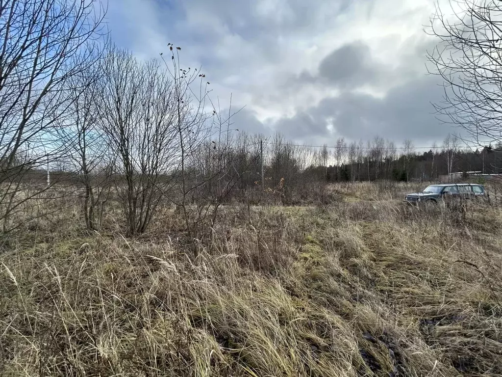 Участок в Владимирская область, Александровский район, Следневское ... - Фото 1