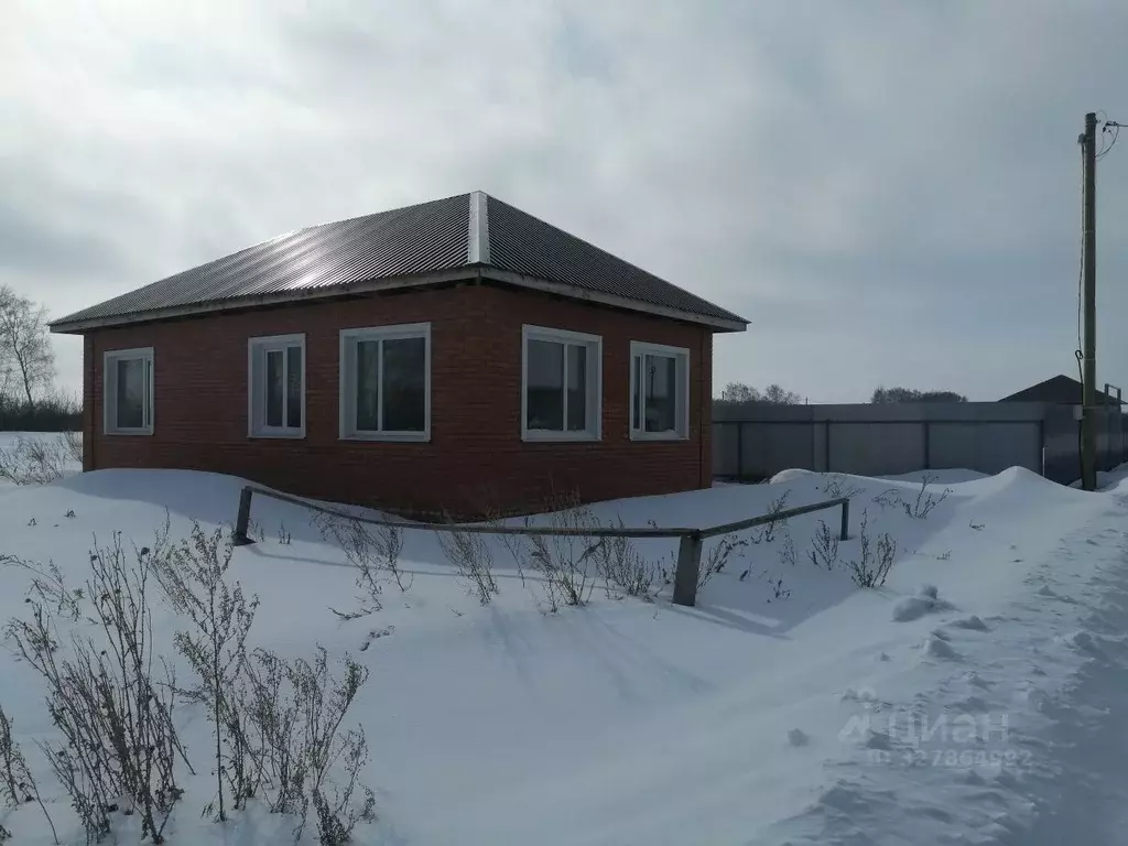 Дом в Омская область, Омский район муниципальный округ, Деревня ... - Фото 2