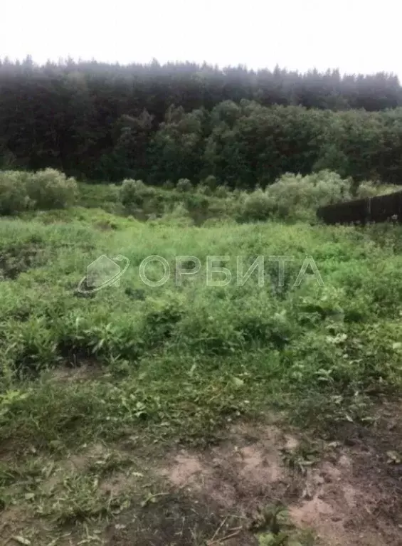 Участок в Свердловская область, Слободо-Туринский район, ... - Фото 1