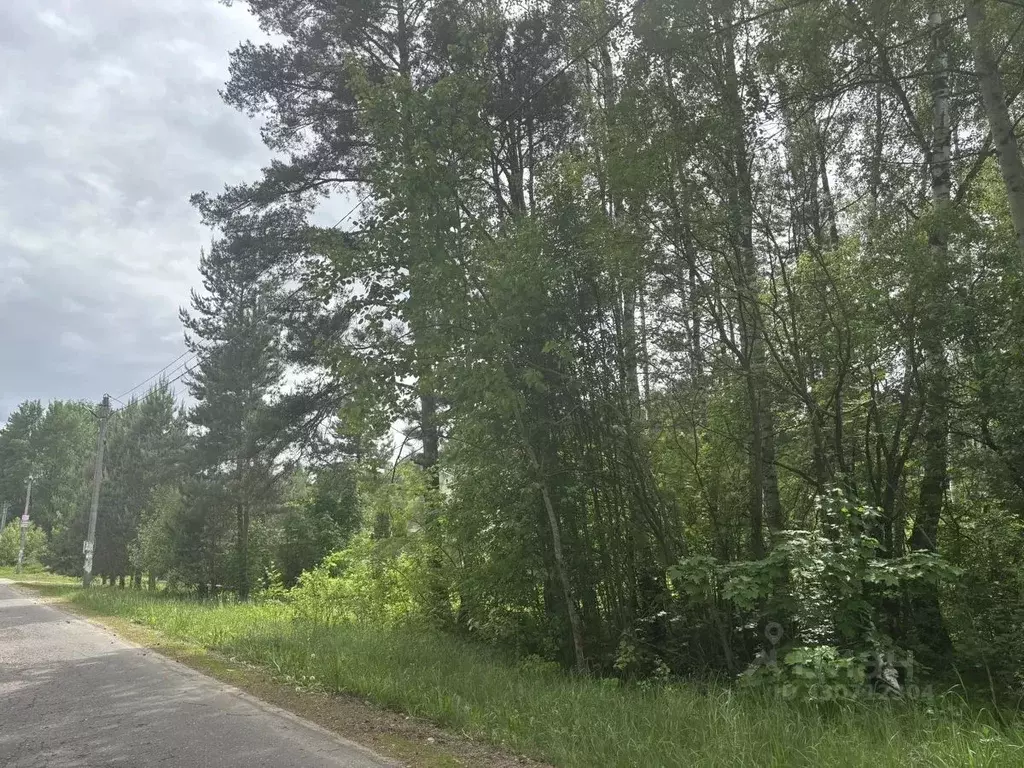 Участок в Московская область, Павлово-Посадский городской округ, д. ... - Фото 2