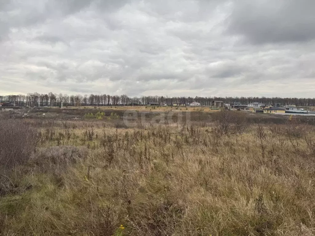 Участок в Воронежская область, Семилукский район, с. Девица ул. ... - Фото 1