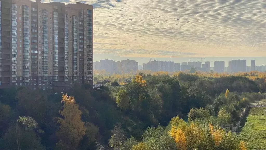 Студия Ленинградская область, Мурино Всеволожский район, ул. Шоссе в ... - Фото 1