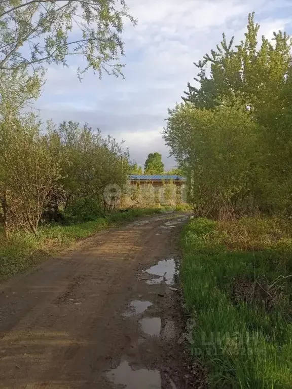 Участок в Хабаровский край, Хабаровский район, с. Мирное Рабочая ул. ... - Фото 1