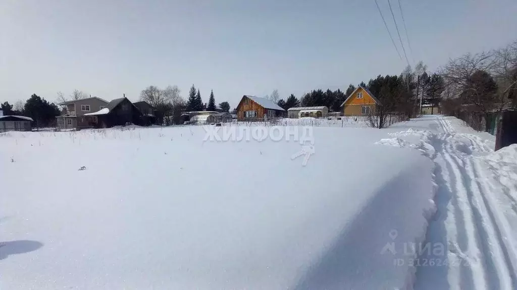 Участок в Новосибирская область, Новосибирский район, Новолуговской ... - Фото 1