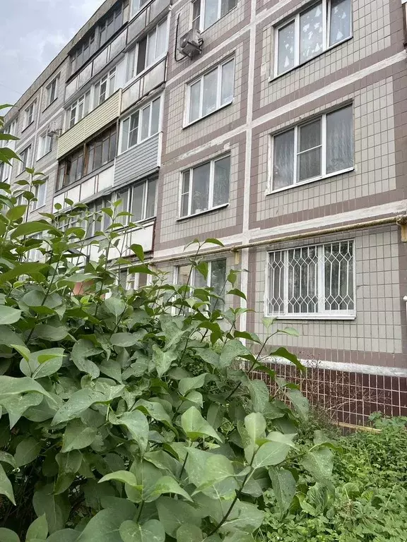 3-к. квартира, 67 м, 4/5 эт. - Фото 0