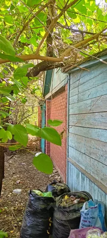 Участок в Ростовская область, Каменск-Шахтинский Фиалка СНТ,  (10.0 ... - Фото 0