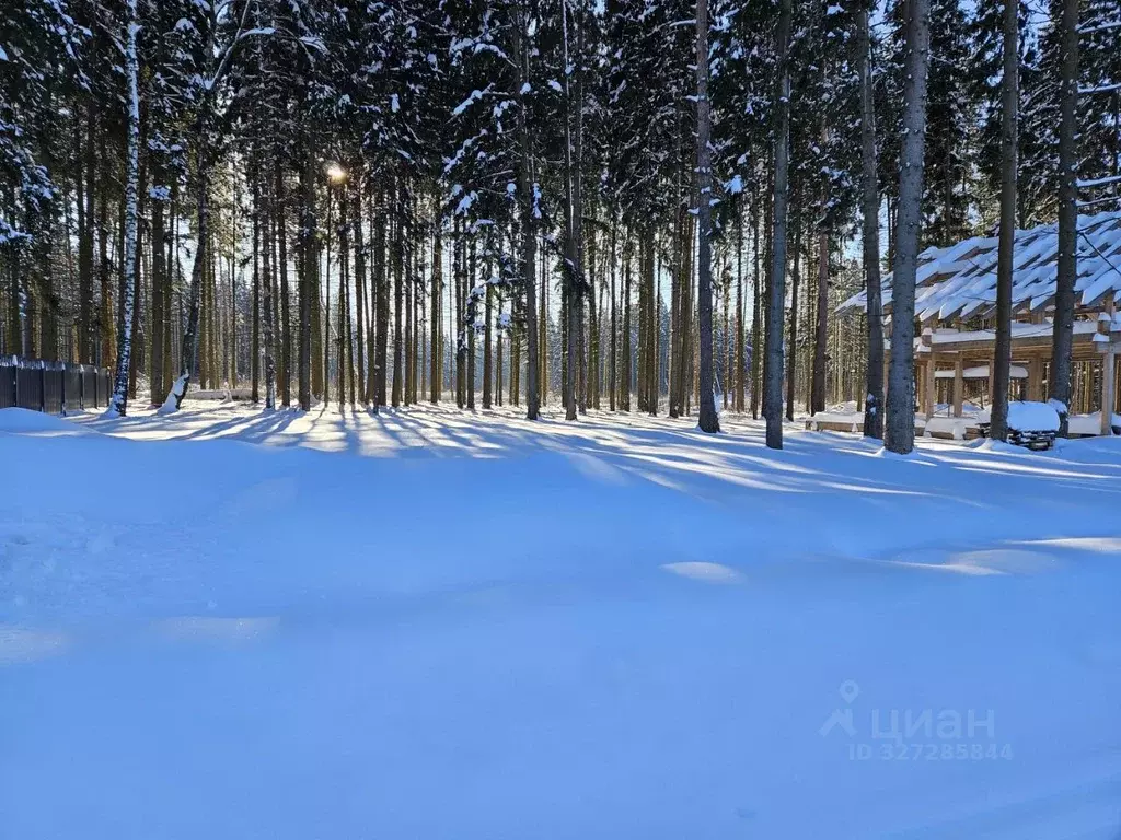 Участок в Московская область, Химки Старбеево кв-л, ул. Чайкиной (9.0 ... - Фото 1