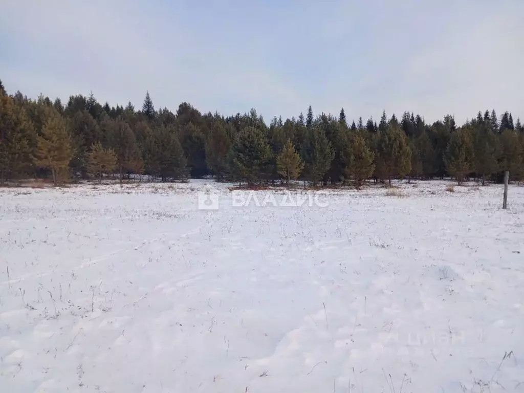 Участок в Бурятия, Тункинский район, Хурай-Хобок у.  (15.0 сот.) - Фото 2