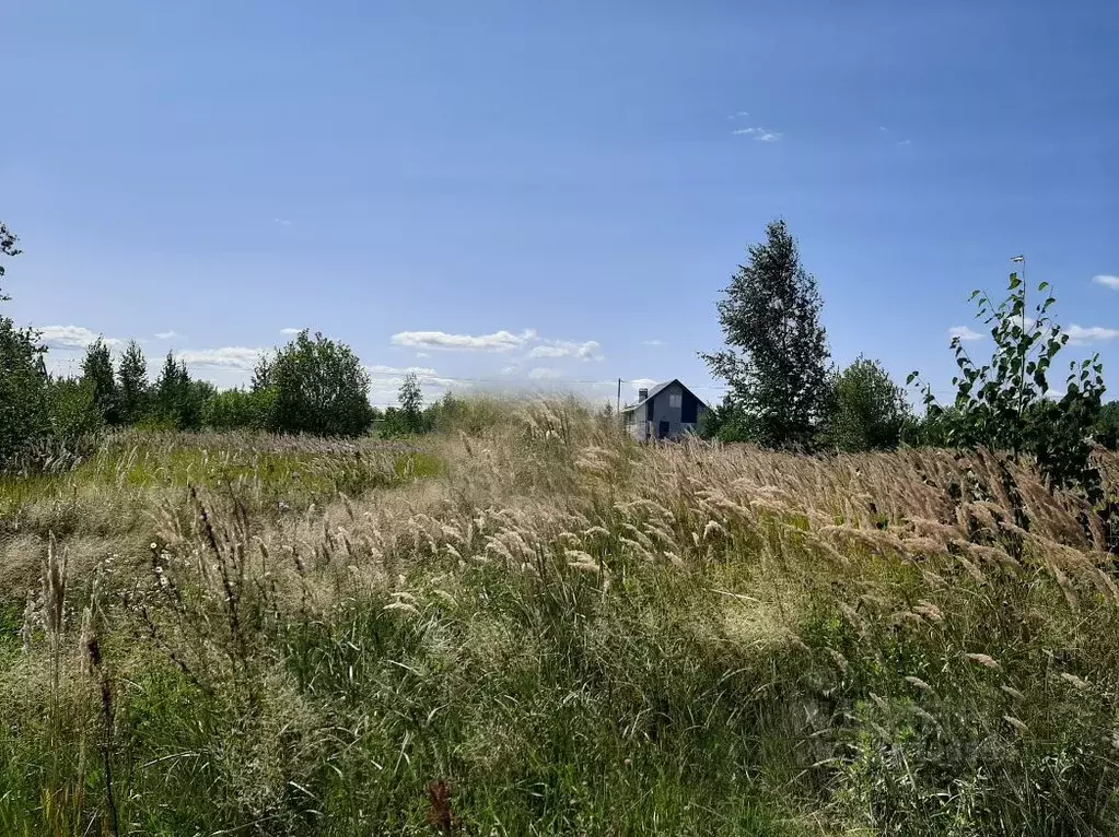 Участок в Московская область, Истра муниципальный округ, д. Загорье, ... - Фото 2