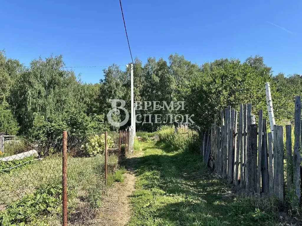 Участок в Владимирская область, Суздальский район, Павловское ... - Фото 2