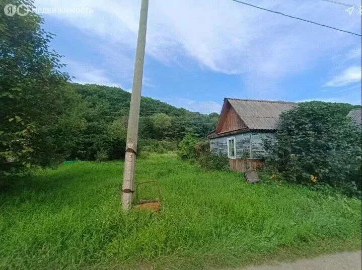 Участок в Приморский край, Яковлевский муниципальный округ, село ... - Фото 1