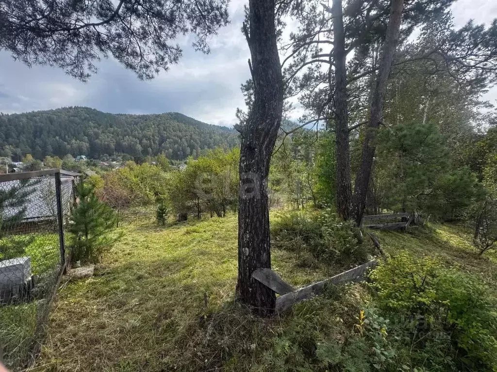 Участок в Алтай, Майминский район, с. Соузга Зеленая ул. (14.0 сот.) - Фото 0