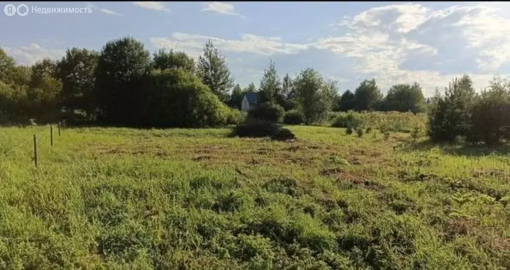 Участок в Ярославский муниципальный округ, деревня Сосновцы (20 м) - Фото 2