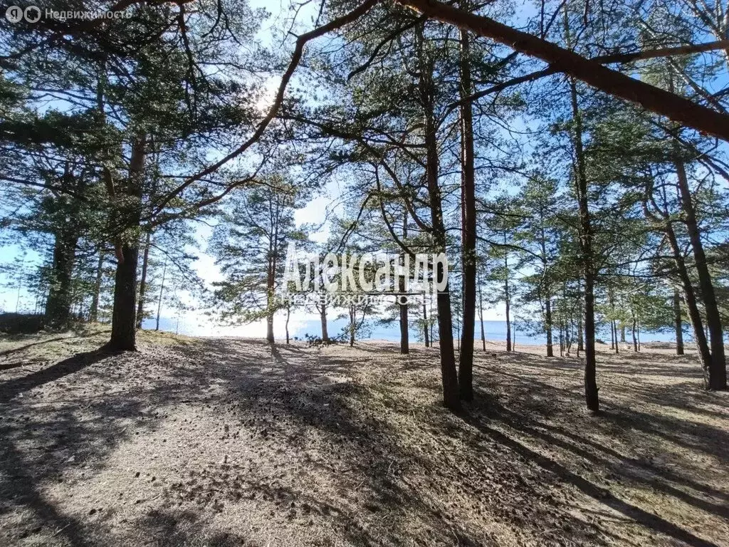 Дом в поселок Зеленая Роща, СНТ Родник, 6 (137 м) - Фото 2