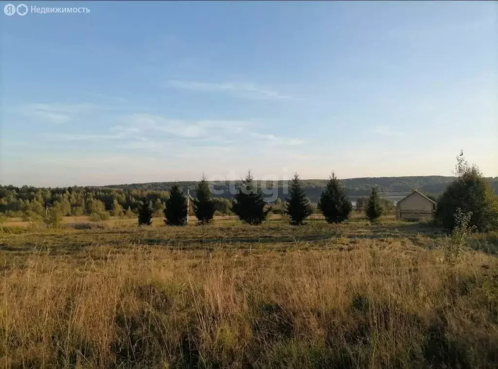 Участок в Ярославская область, сельское поселение Некрасовское, ... - Фото 1