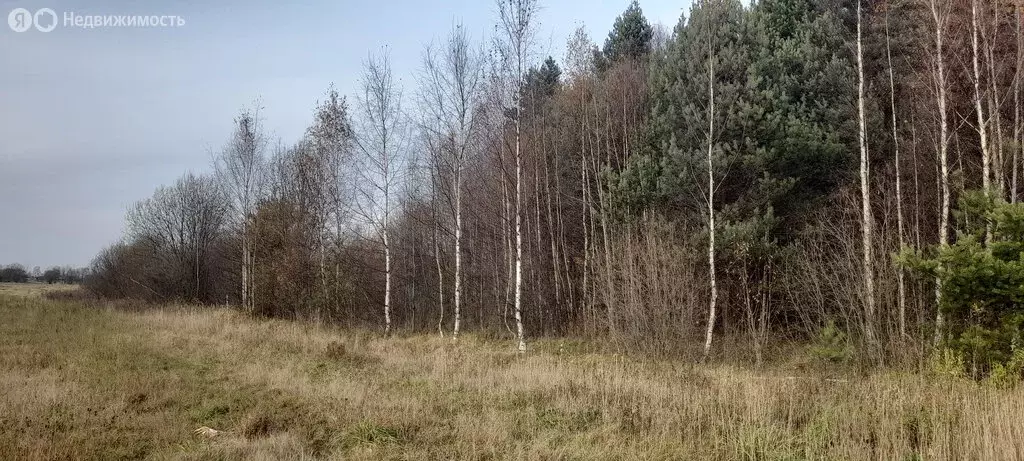 Участок в Московская область, городской округ Клин, рабочий посёлок ... - Фото 1