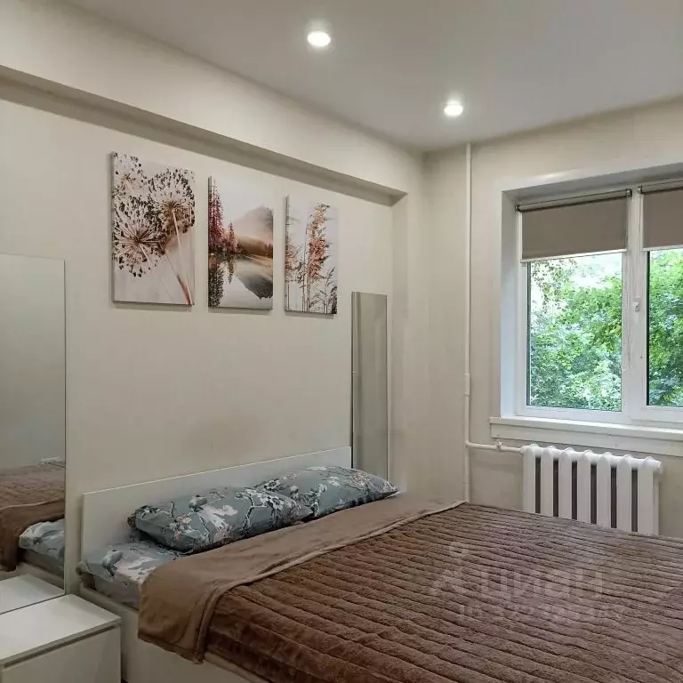 2-к кв. Новосибирская область, Новосибирск просп. Димитрова, 11 (43.0 ... - Фото 1