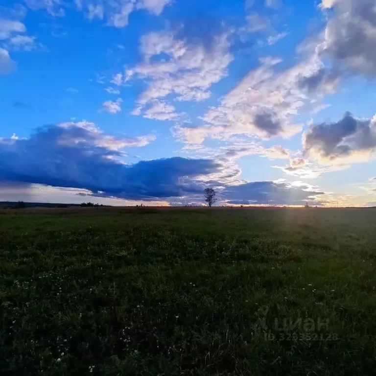 Участок в Мордовия, Лямбирский район, Берсеневское с/пос, д. Старая ... - Фото 2
