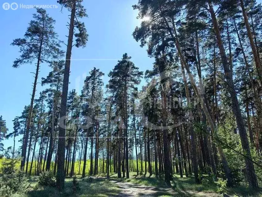 Дом в Воронеж, Краснолесненская улица, 6 (54 м) - Фото 1