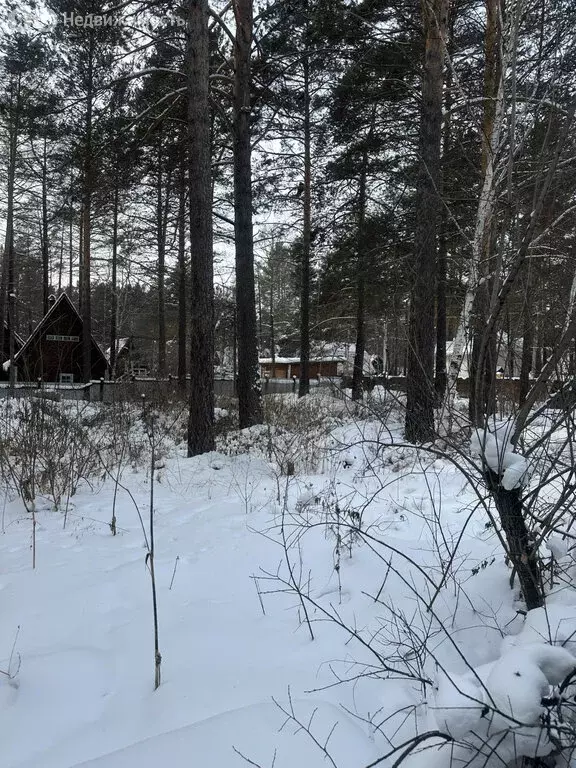 Участок в Иркутский муниципальный округ, Байкальский тракт, 21-й ... - Фото 2