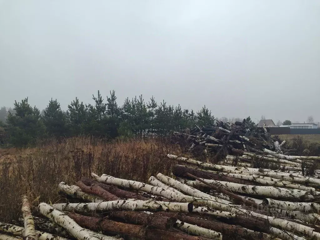 Участок в Московская область, Орехово-Зуевский городской округ, д. ... - Фото 1