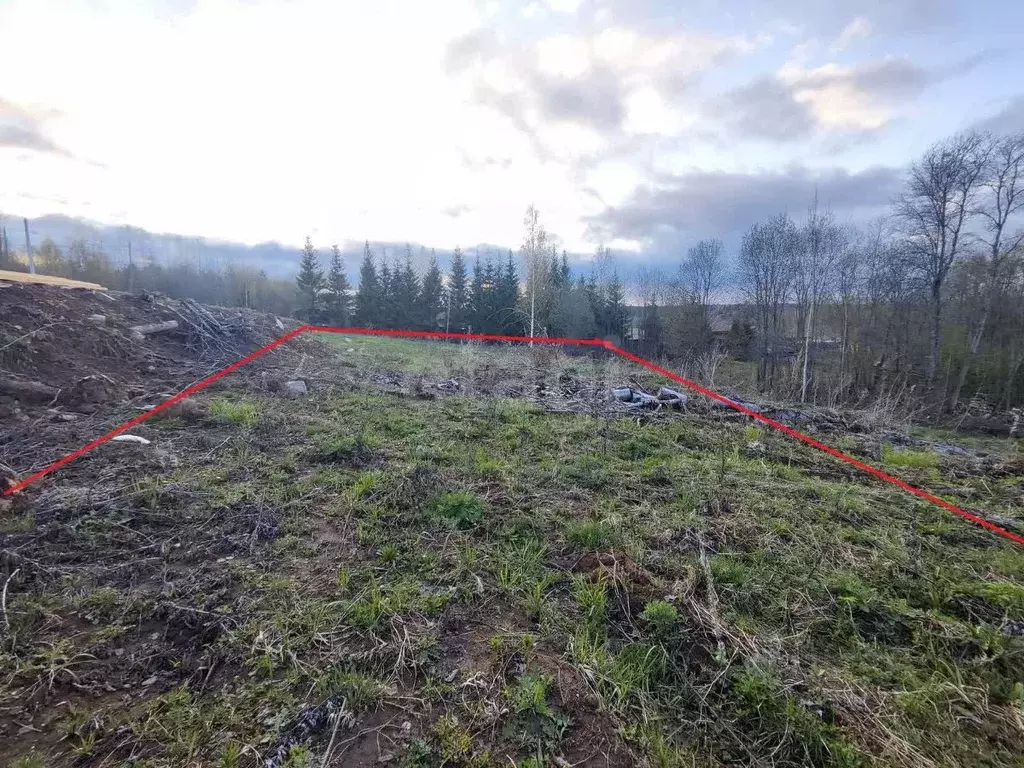 Участок в Вологодская область, д. Стризнево (Сосновский сельсовет)  ... - Фото 2