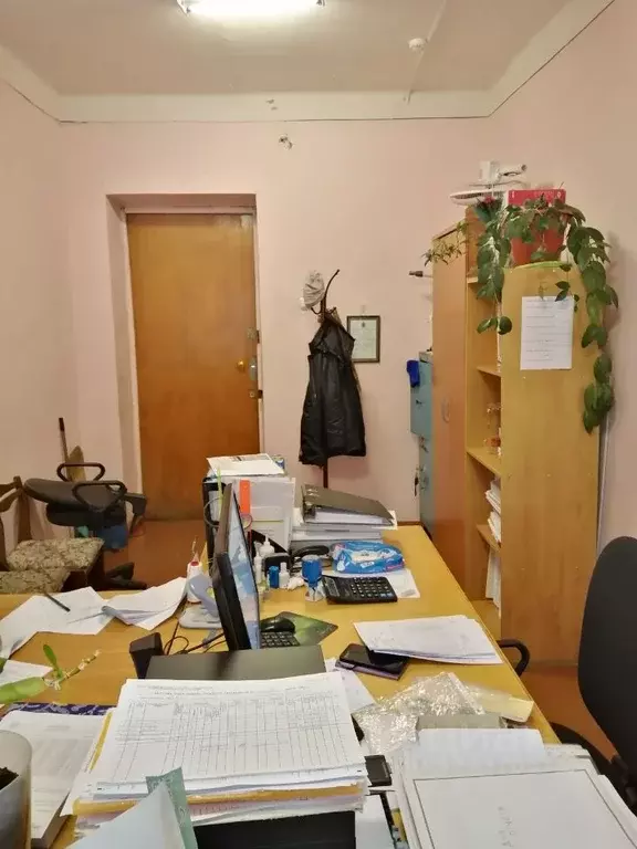 Помещение свободного назначения в Пензенская область, Городищенский ... - Фото 2