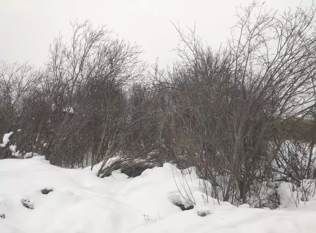 Участок в Московская область, Истра муниципальный округ, д. ... - Фото 2