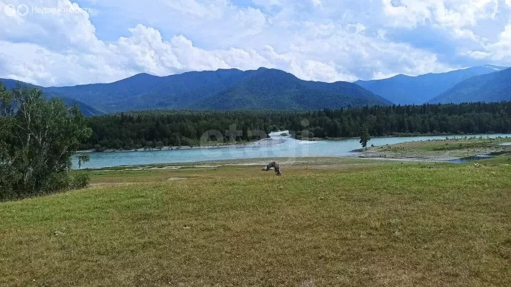 Участок в Усть-Коксинский район, село Тюнгур (18.47 м) - Фото 1