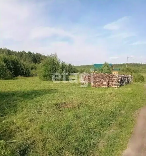 Участок в Коми, Сыктывдинский район, Нювчим муниципальное образование, ... - Фото 1