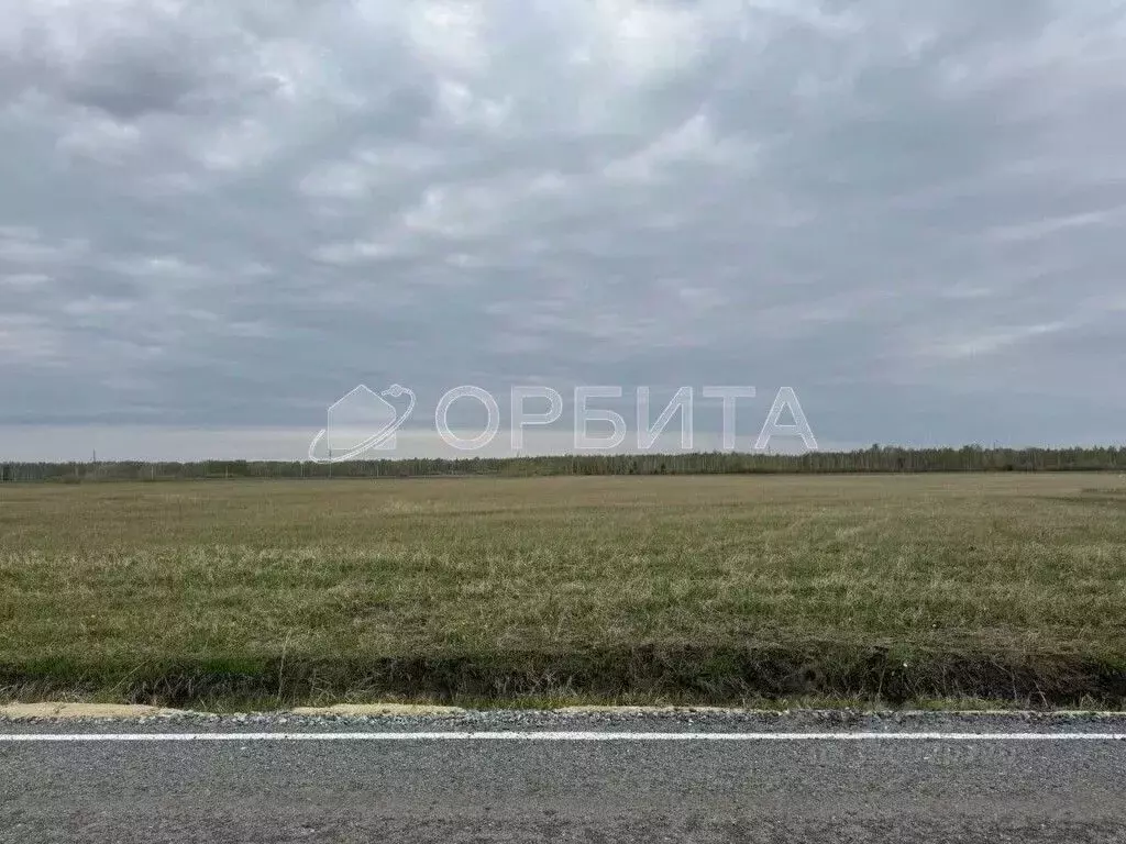 Участок в Тюменская область, Тюменский район, д. Елань 14 (7.57 сот.) - Фото 0