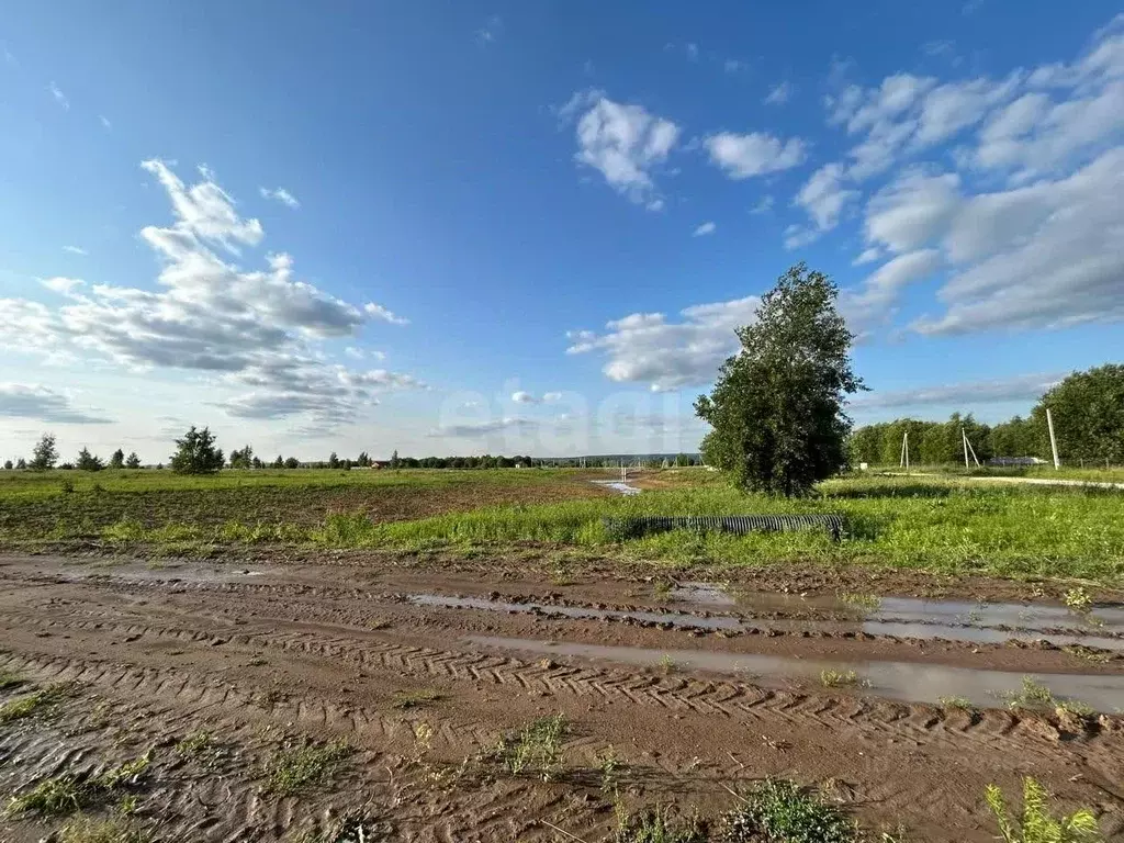Участок в Тульская область, Тула городской округ, с. Фалдино 28 (11.9 ... - Фото 1